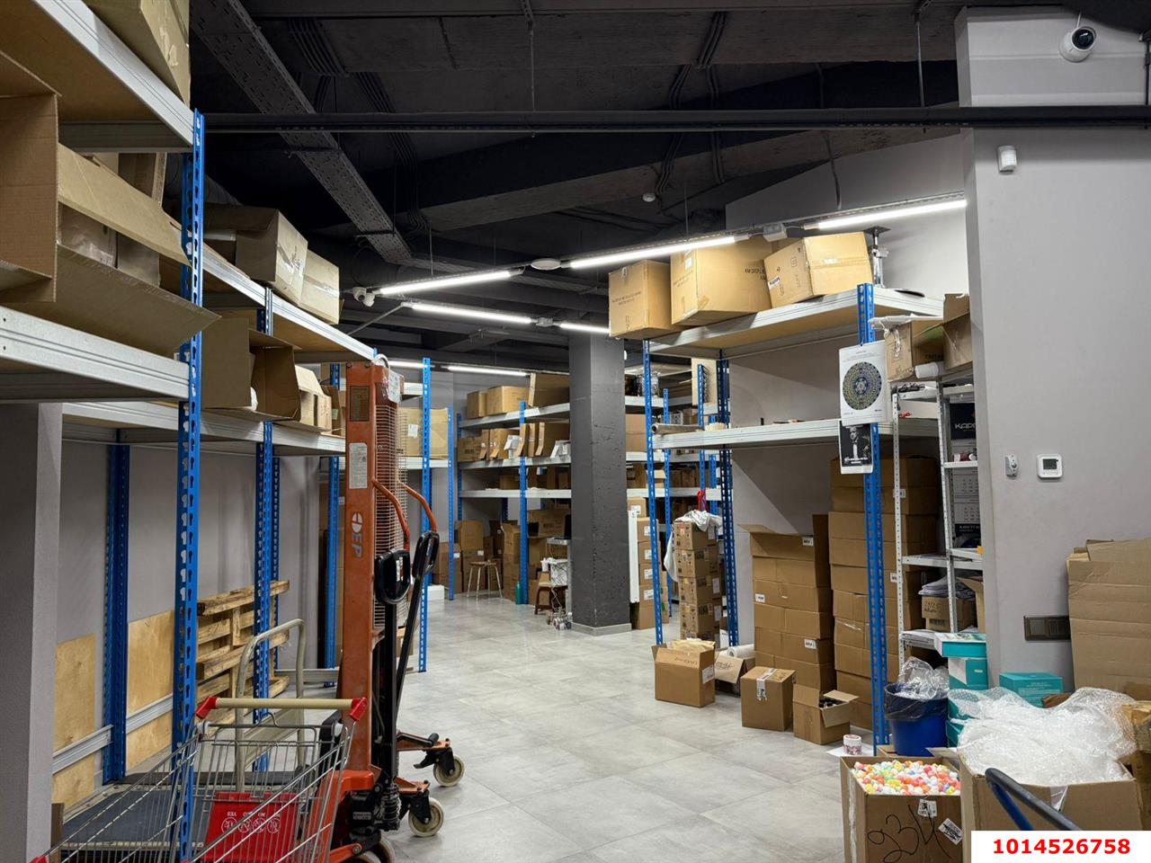 Фото №8: Торговое помещение 446 м² - Сочи, Заречный, ул. Пластунская, 94А/4