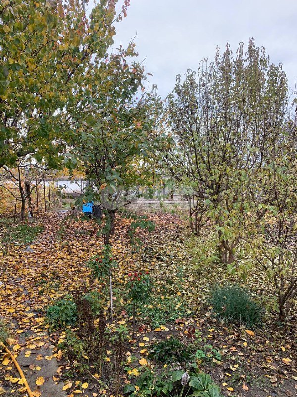 Фото №13: Дом 138 м² + 25 сот. - Бураковский, ул. Советская