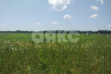 Фото №2: Земельный участок под ИЖС - Майкоп, ул. Славянская