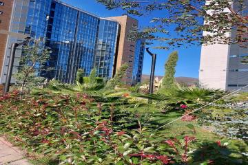 Фото №4: Студия 26 м² - Небуг, ул. Газовиков, 3А/2