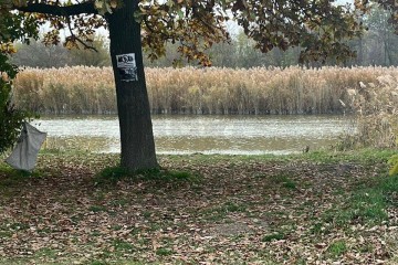 Фото №4: Земельный участок под ИЖС 10 сот. - Красносельское, пер. Кубанский, 48