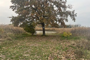 Фото №1: Земельный участок под ИЖС 10 сот. - Красносельское, пер. Кубанский, 48