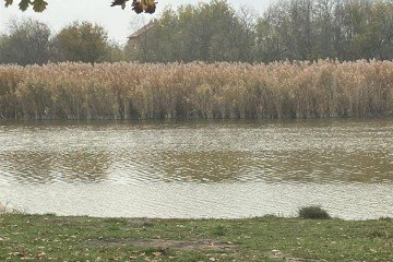 Фото №3: Земельный участок под ИЖС 10 сот. - Красносельское, пер. Кубанский, 48