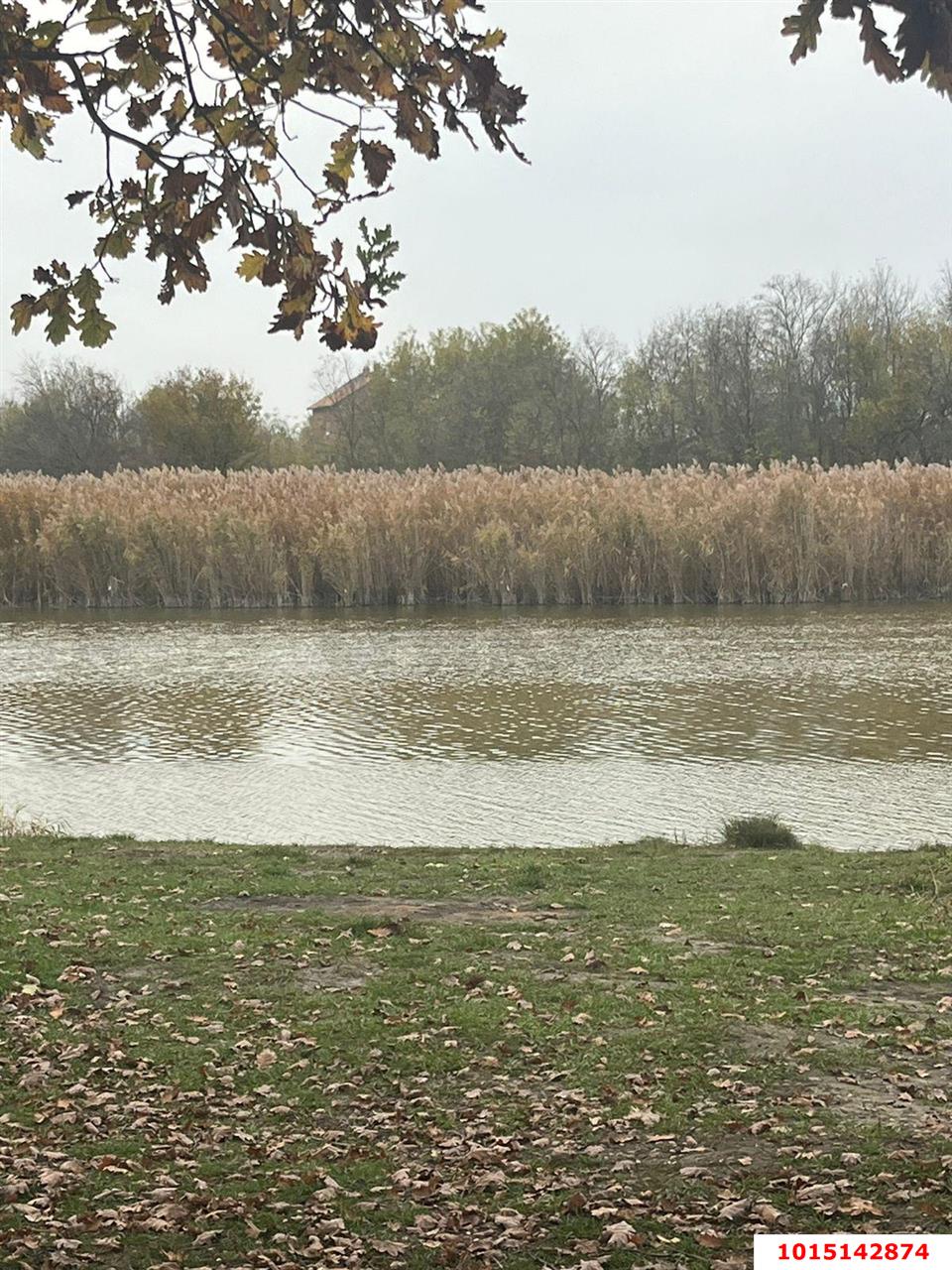 Фото №3: Земельный участок под ИЖС 10 сот. - Красносельское, пер. Кубанский, 48