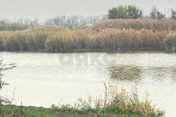 Фото №5: Земельный участок под ИЖС 10 сот. - Красносельское, пер. Кубанский, 48