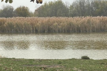 Фото №3: Земельный участок под ИЖС 10 сот. - Красносельское, пер. Кубанский, 48