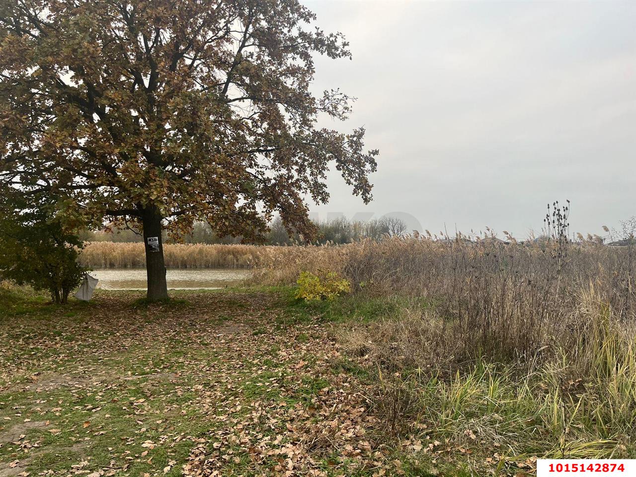 Фото №2: Земельный участок под ИЖС 10 сот. - Красносельское, пер. Кубанский, 48