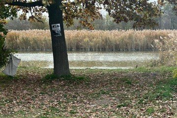 Фото №4: Земельный участок под ИЖС 10 сот. - Красносельское, пер. Кубанский, 48