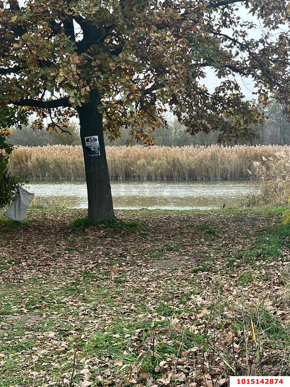 Фото №4: Земельный участок под ИЖС 10 сот. - Красносельское, пер. Кубанский, 48