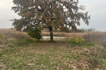 Фото №1: Земельный участок под ИЖС 10 сот. - Красносельское, пер. Кубанский, 48