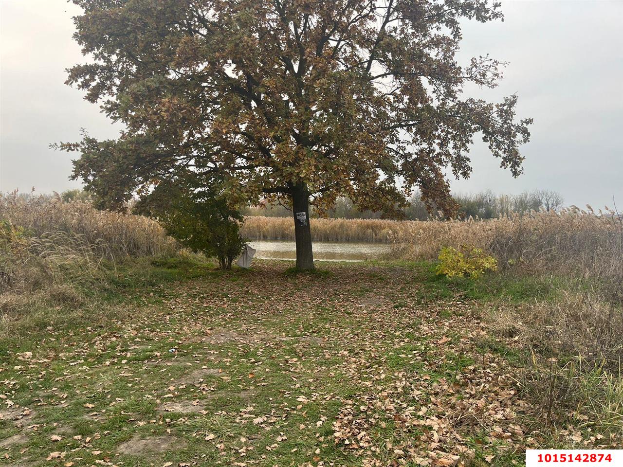 Фото №1: Земельный участок под ИЖС 10 сот. - Красносельское, пер. Кубанский, 48