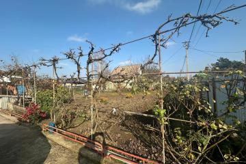 Фото №5: Коммерция 4 м² - Елизаветинская, ст Ромашка, ул. Вишнёвая, 41