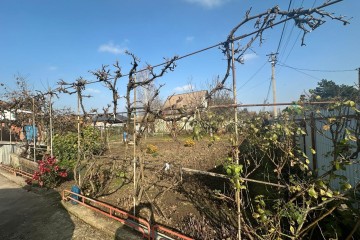 Фото №5: Коммерческая земля 4 сот. - Елизаветинская, ст Ромашка, ул. Вишнёвая, 41