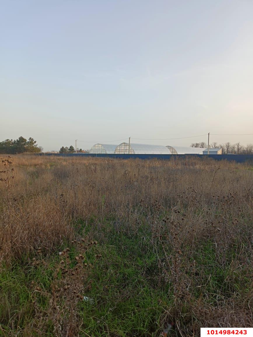 Фото №3: Коммерческая земля 15 сот. - Победитель, Прикубанский внутригородской округ, ул. Кубанская, 23