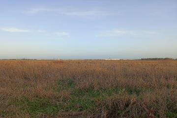 Фото №1: Коммерция 15 м² - Победитель, мкр. Прикубанский внутригородской округ, ул. Кубанская, 23