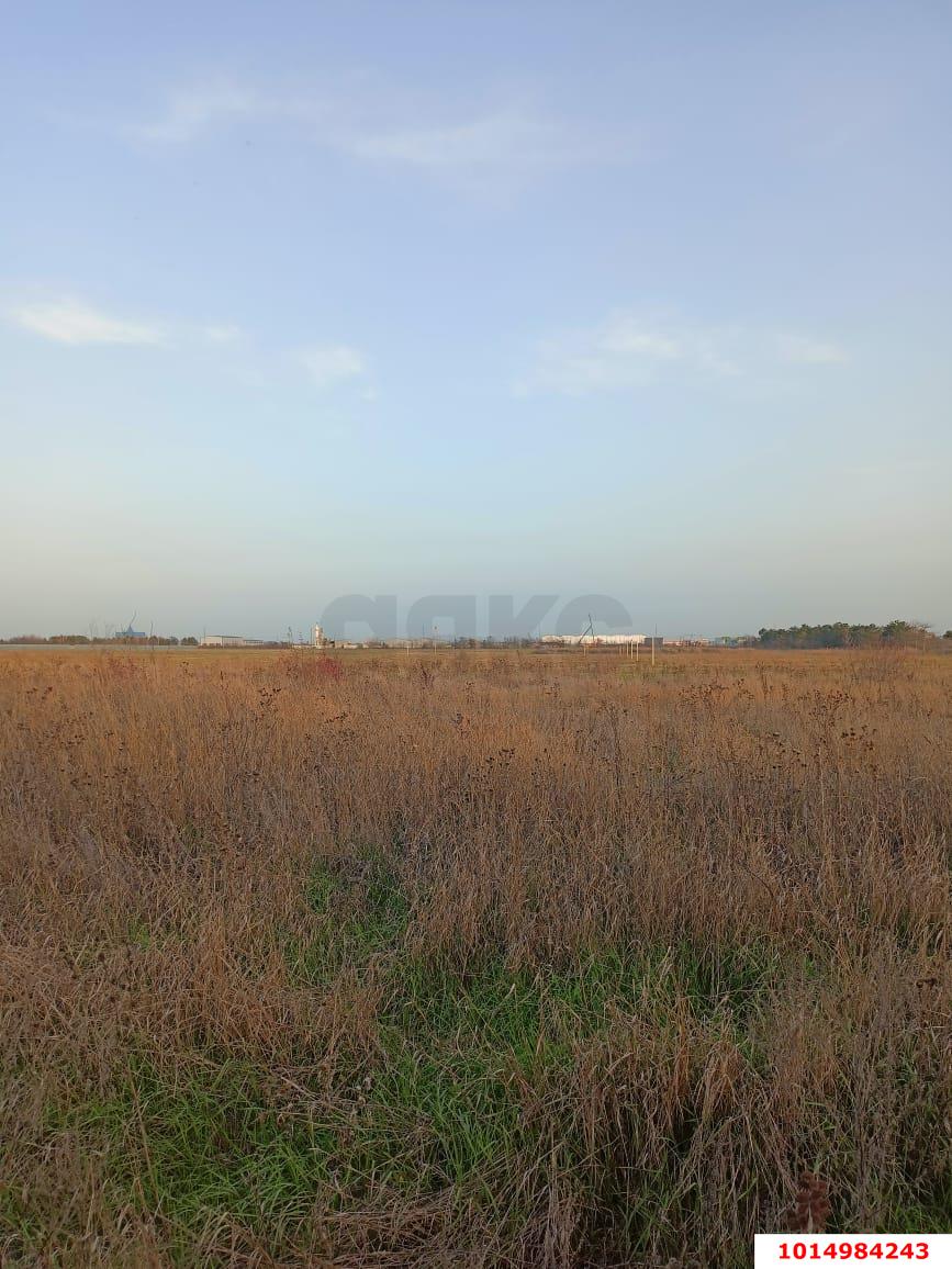 Фото №1: Коммерческая земля 15 сот. - Победитель, Прикубанский внутригородской округ, ул. Кубанская, 23