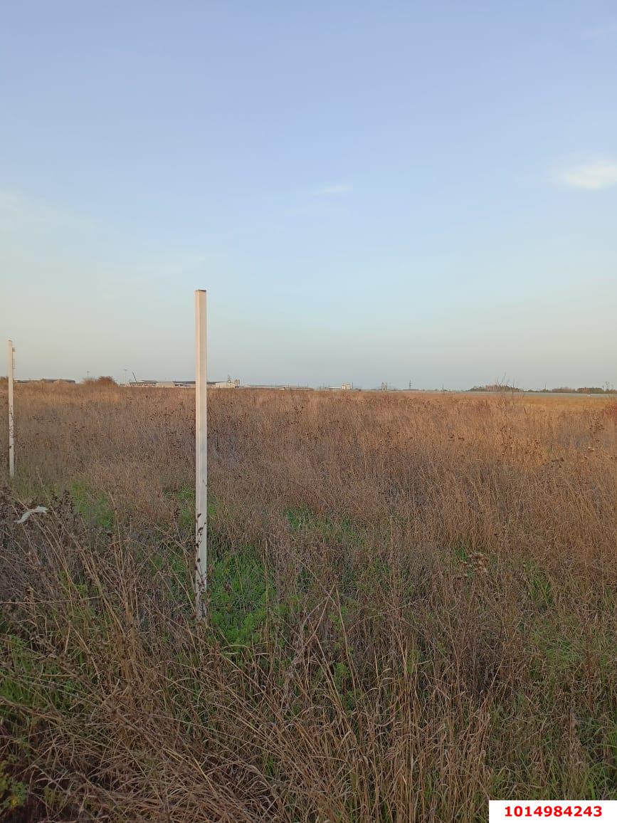 Фото №2: Коммерческая земля 15 сот. - Победитель, Прикубанский внутригородской округ, ул. Кубанская, 23