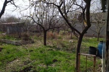 Фото №2: Дом 25 м² - Заря, мкр. Прикубанский внутригородской округ, ул. Грушевая, 222
