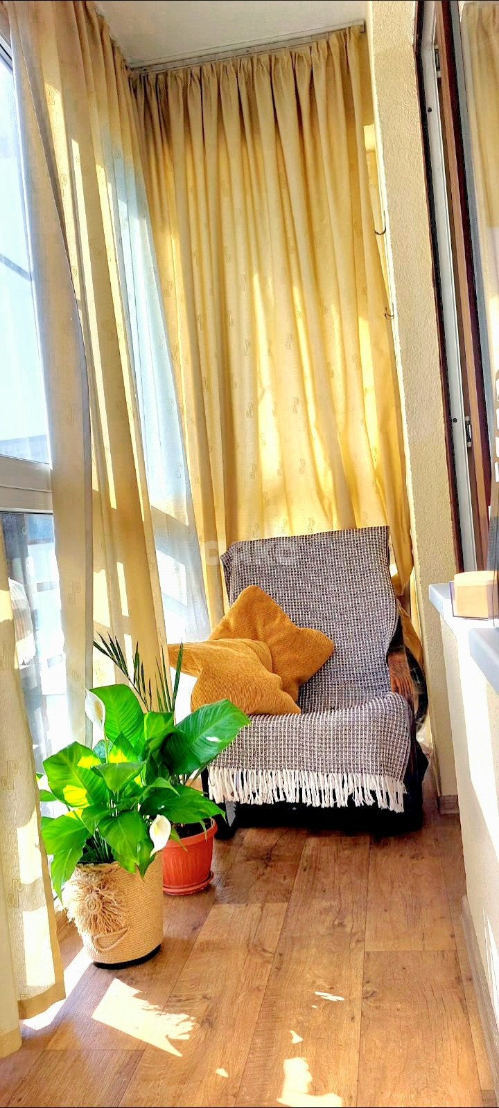 Фото №6: Студия 33 м² - Сочи, Адлер, ул. Фермерская, 35