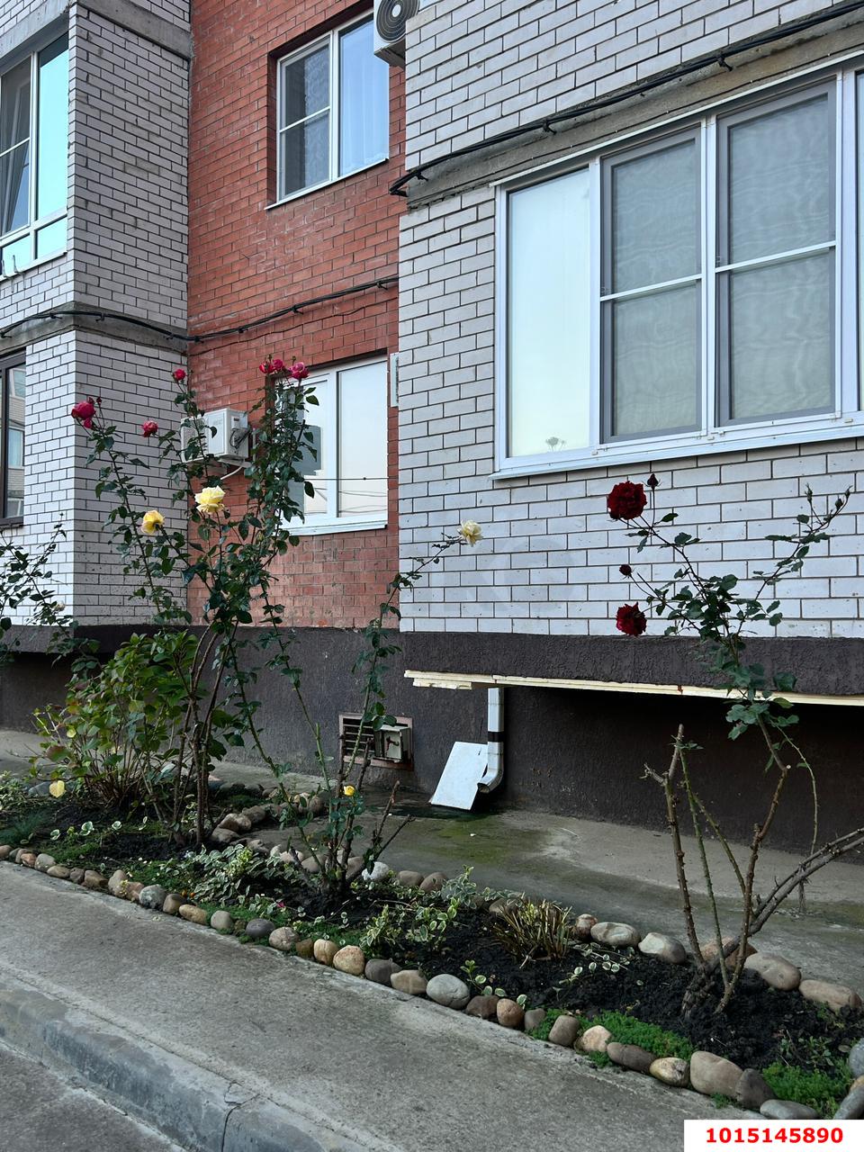 Фото №11: Студия 33 м² - Новая Адыгея, жилой комплекс Золотая линия 2, ул. Бжегокайская, 25/5