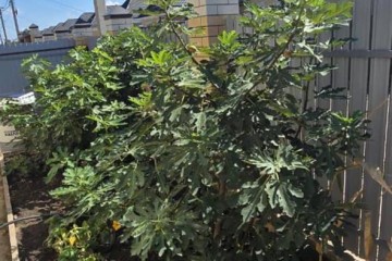 Фото №4: Дом 104 м² - Краснодар, мкр. квартал Водный, 315