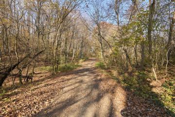 Фото №1: Коммерция 53 м² - Григорьевская, ул. 50 лет Октября, 8