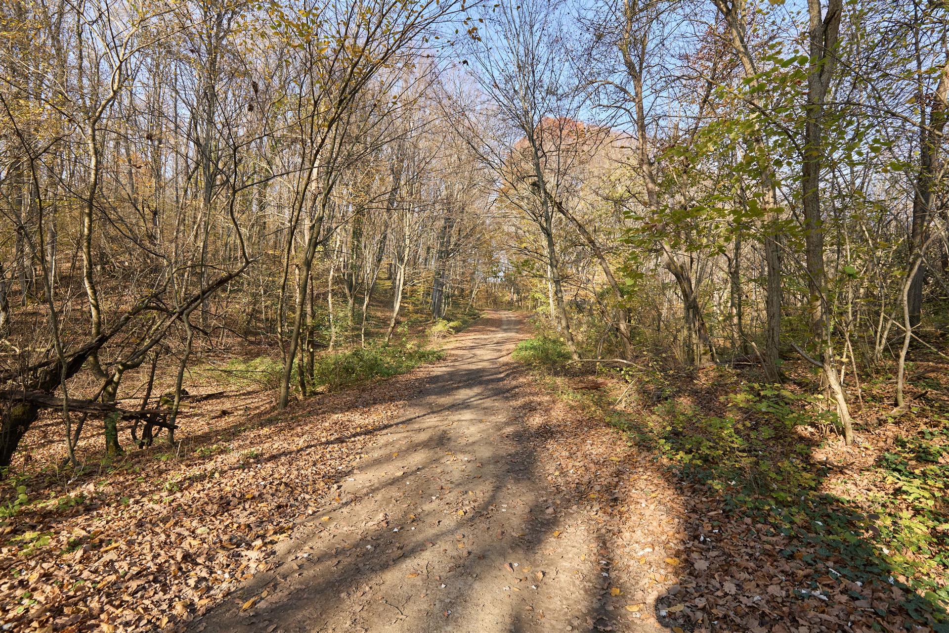 Фото №1: Коммерция 53 м² - Григорьевская, ул. 50 лет Октября, 8