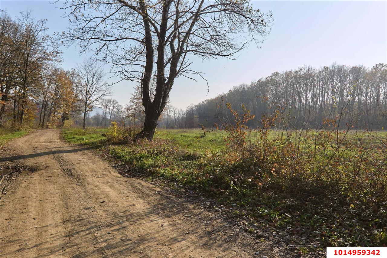 Фото №6: Коммерческая земля 53 сот. - Григорьевская, ул. 50 лет Октября, 8