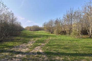 Фото №2: Коммерция 53 м² - Григорьевская, ул. 50 лет Октября, 8