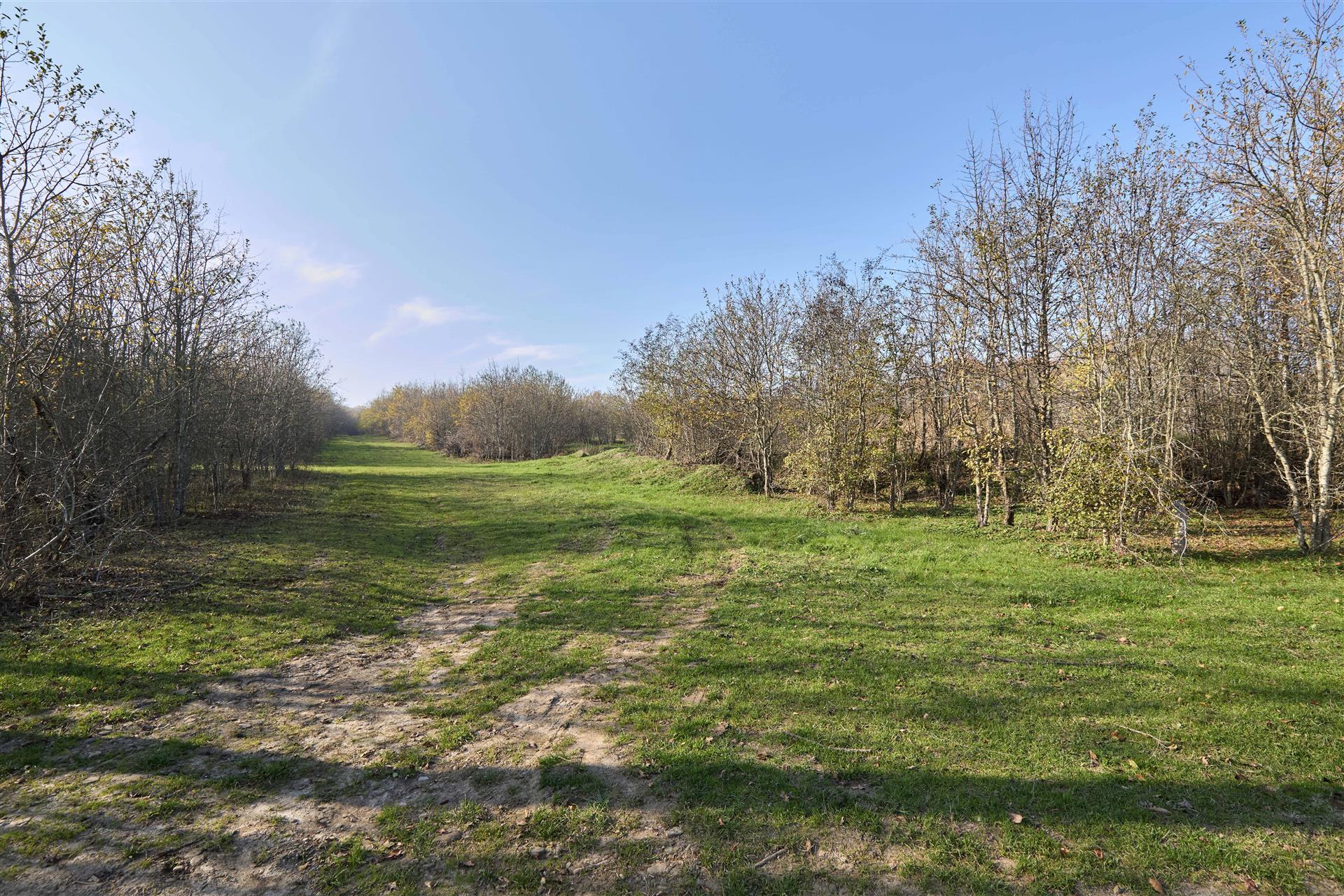 Фото №2: Коммерция 53 м² - Григорьевская, ул. 50 лет Октября, 8