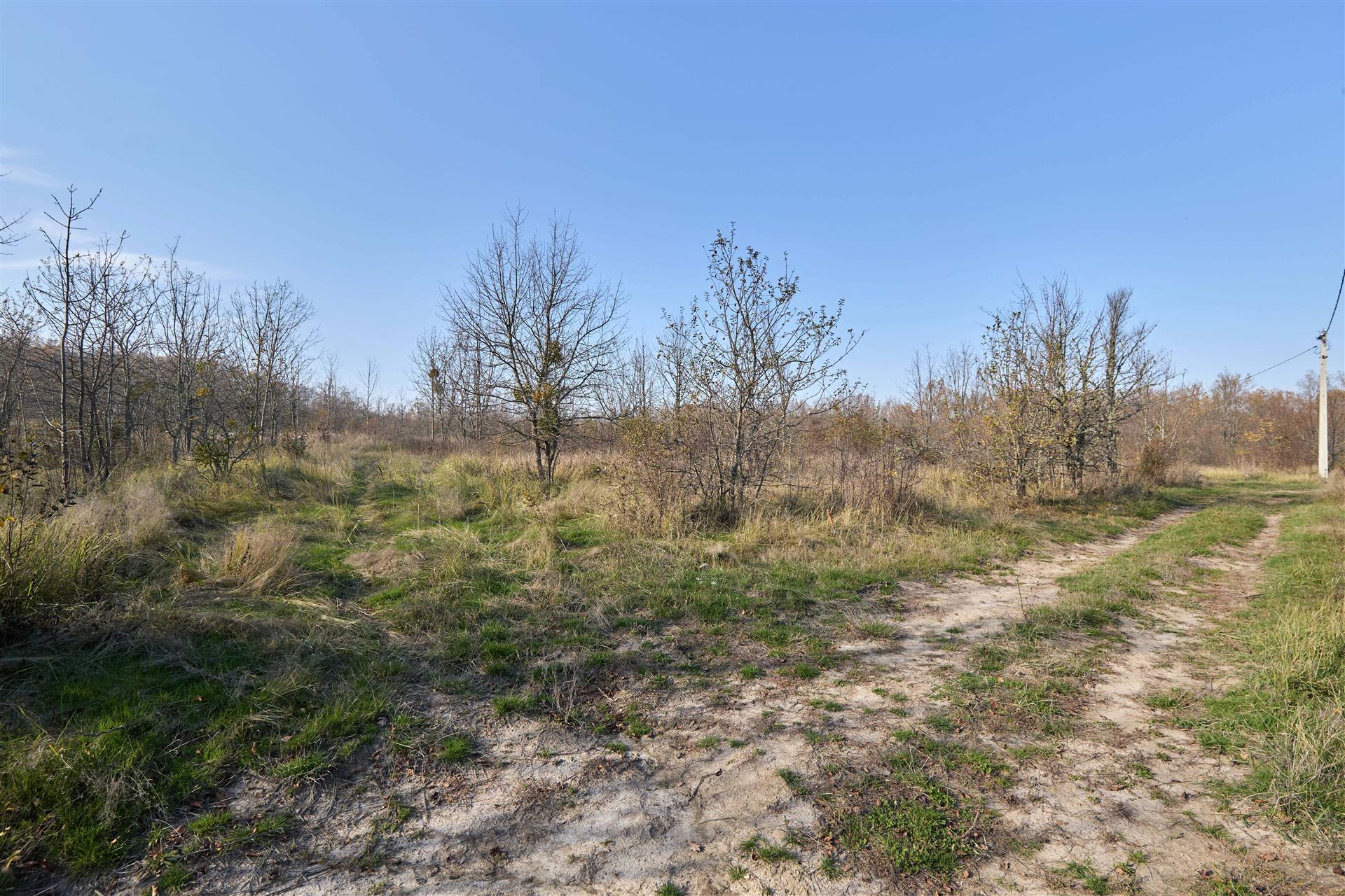 Фото №4: Коммерция 53 м² - Григорьевская, ул. 50 лет Октября, 8