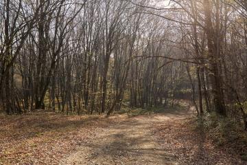 Фото №5: Коммерция 53 м² - Григорьевская, ул. 50 лет Октября, 8