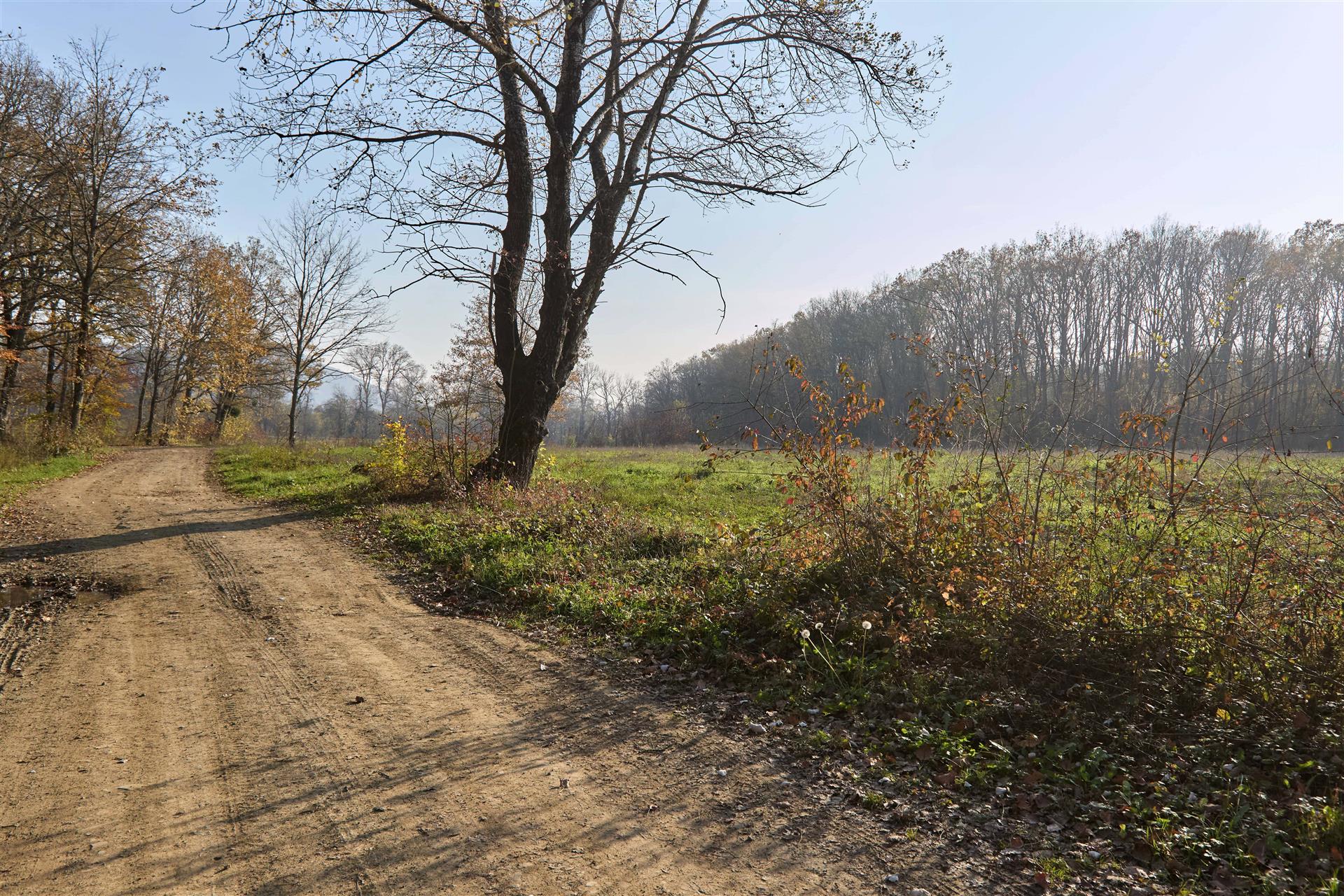 Фото №6: Коммерция 53 м² - Григорьевская, ул. 50 лет Октября, 8