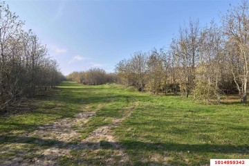 Фото №2: Коммерческая земля 53 сот. - Григорьевская, ул. 50 лет Октября, 8