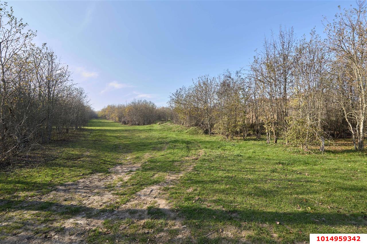 Фото №2: Коммерческая земля 53 сот. - Григорьевская, ул. 50 лет Октября, 8