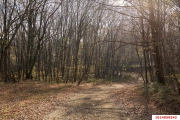 Фото №5: Коммерческая земля 53 сот. - Григорьевская, ул. 50 лет Октября, 8