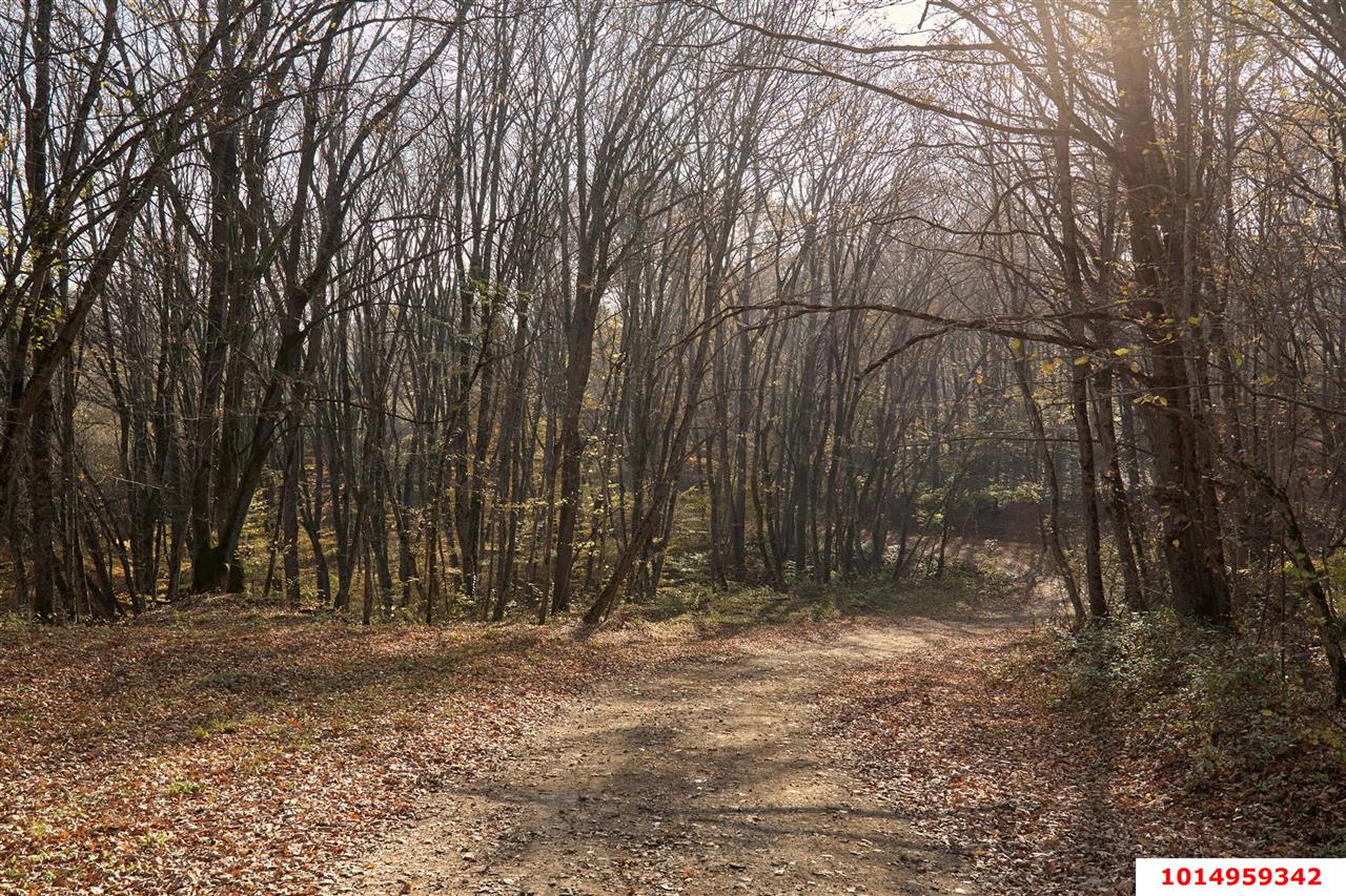 Фото №5: Коммерческая земля 53 сот. - Григорьевская, ул. 50 лет Октября, 8