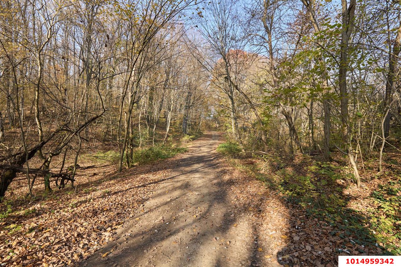 Фото №1: Коммерческая земля 53 сот. - Григорьевская, ул. 50 лет Октября, 8