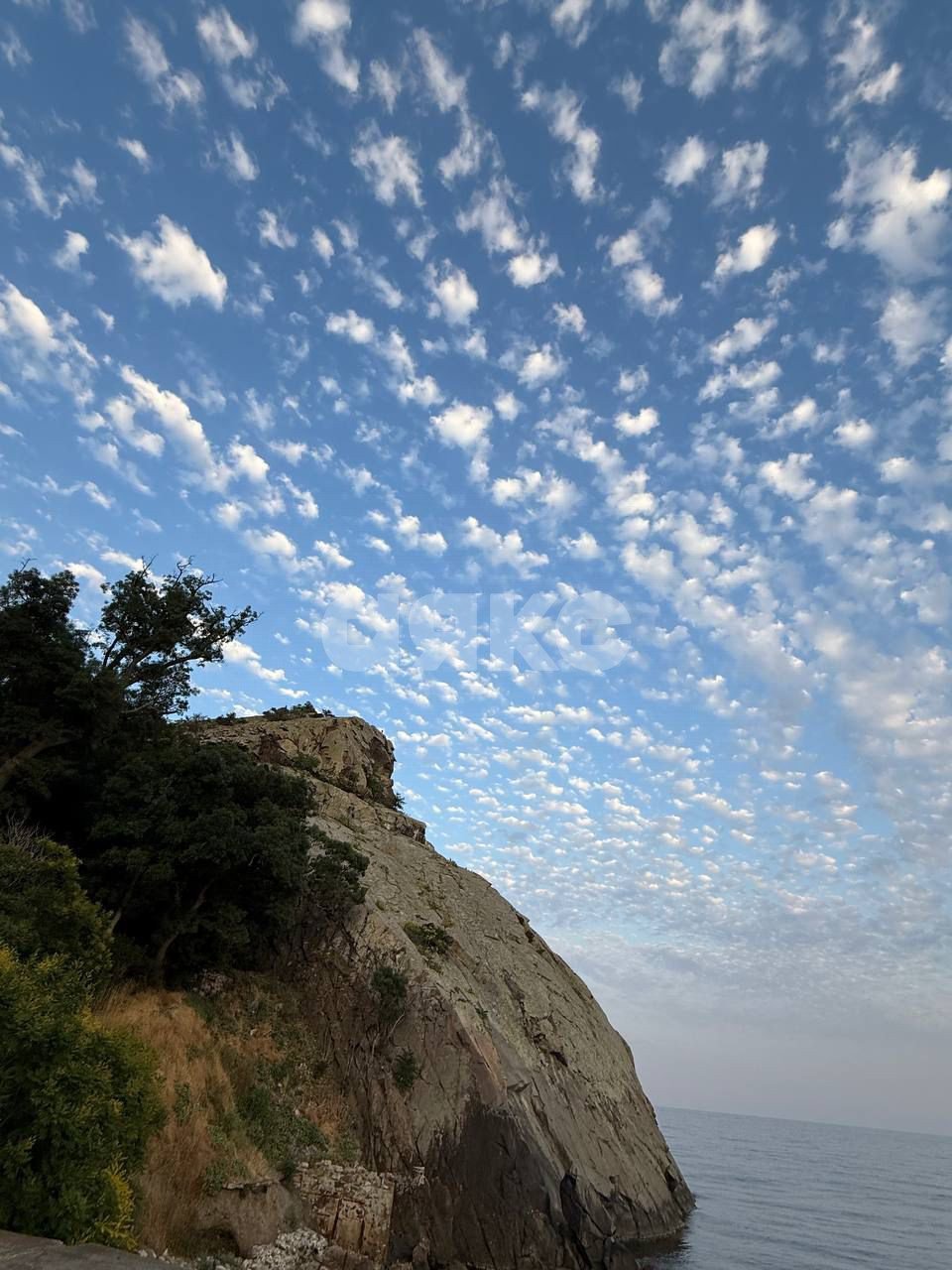 Фото №19: Студия 44 м² - Партенит, ул. Победы, 1