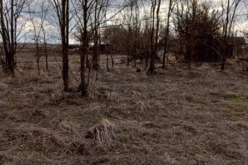 Фото №5: Земельный участок под ИЖС 36.7 сот. - Свободный, ул. Школьная, 6