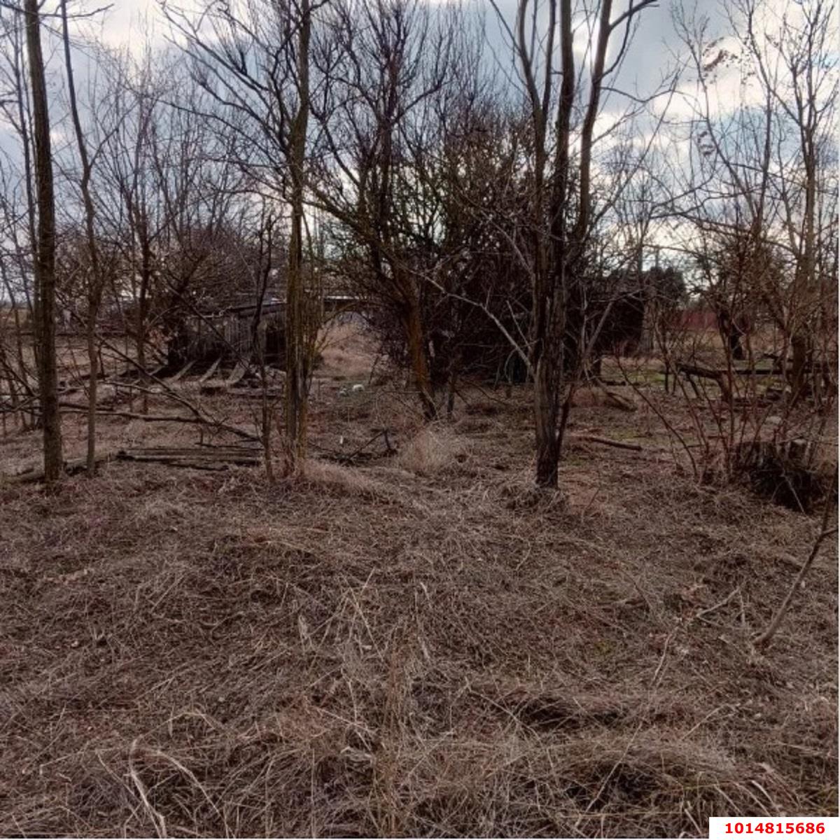 Фото №7: Земельный участок под ИЖС 36.7 сот. - Свободный, ул. Школьная, 6