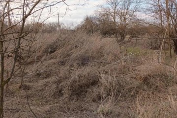 Фото №3: Земельный участок под ИЖС 36.7 сот. - Свободный, ул. Школьная, 6