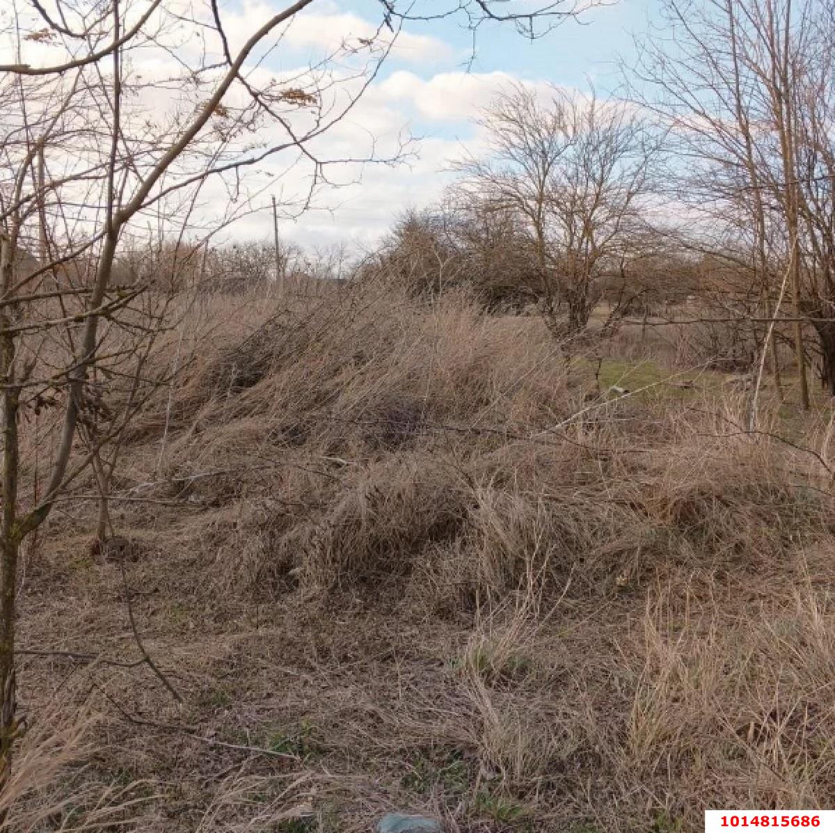 Фото №3: Земельный участок под ИЖС 36.7 сот. - Свободный, ул. Школьная, 6