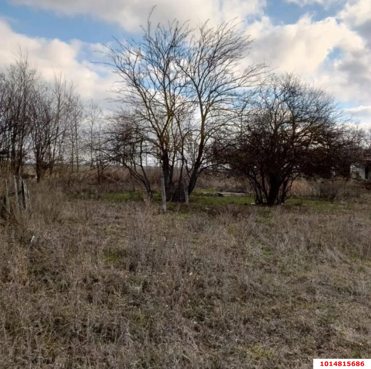 Фото №6: Земельный участок под ИЖС 36.7 сот. - Свободный, ул. Школьная, 6