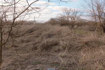 Фото №3: Земельный участок 36.7 сот. - Свободный, ул. Школьная, 6