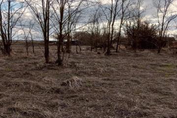 Фото №5: Земельный участок 36.7 сот. - Свободный, ул. Школьная, 6