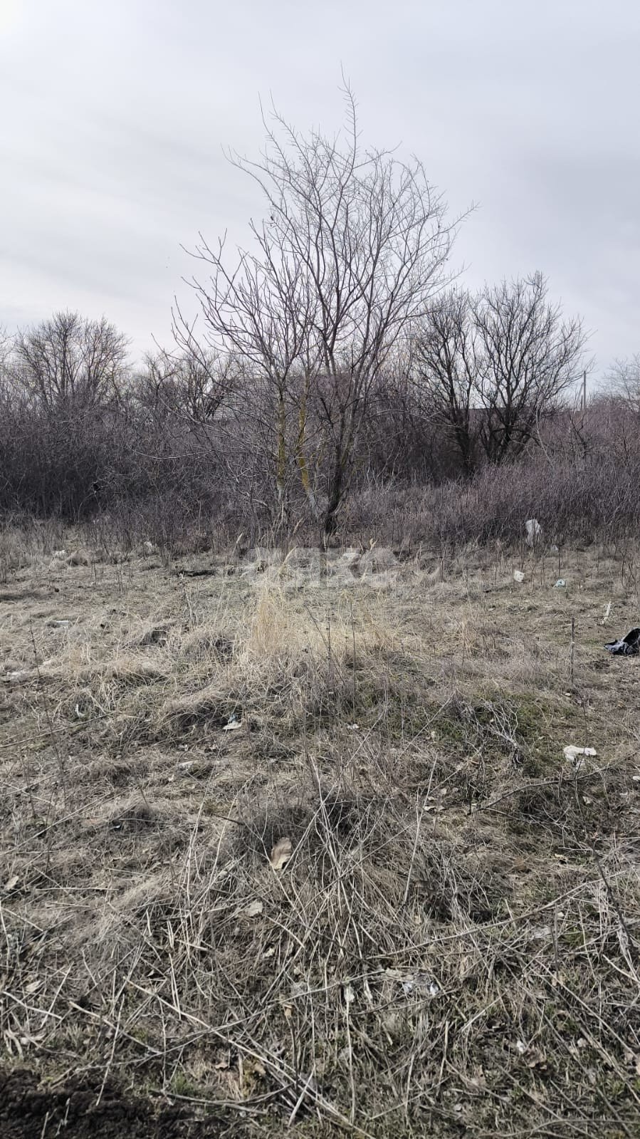 Фото №2: Участок садоводство 600 сот. - Азов, Мичуринец-3, 7668А