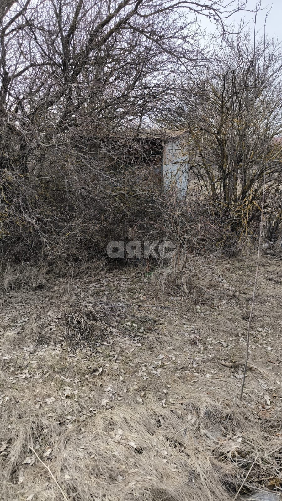 Фото №1: Участок садоводство 600 сот. - Азов, Мичуринец-3, 7668А