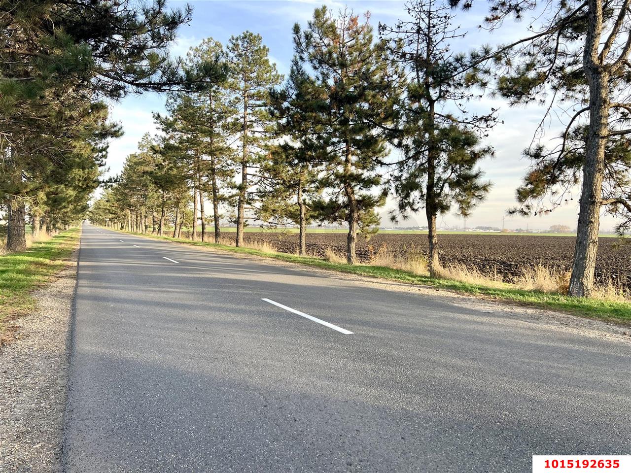 Фото №6: Земельный участок 10.12 сот. - Лазурный, мкр. Прикубанский внутригородской округ, ул. Зелёная, 1