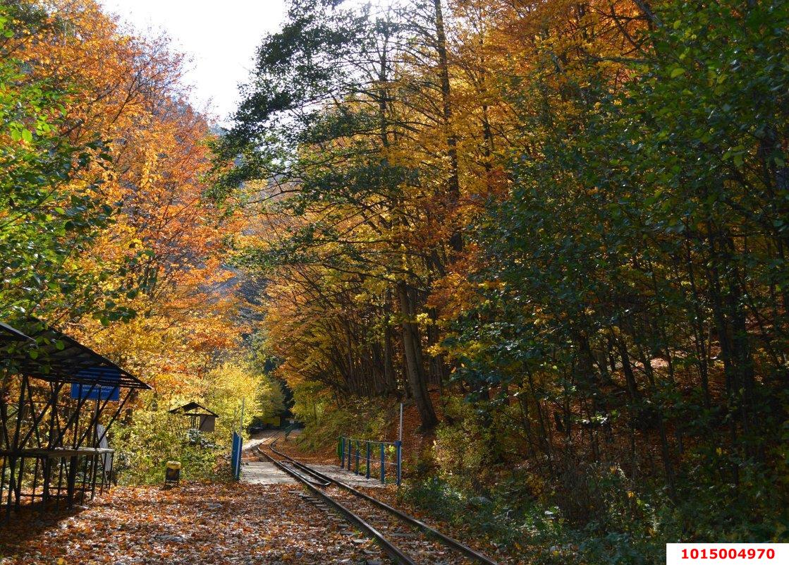 Фото №6: Коммерческая земля 124 сот. - Гуамка, ул. Нижегородская